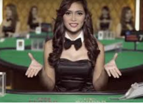 vwin德赢官网首页2024最新版